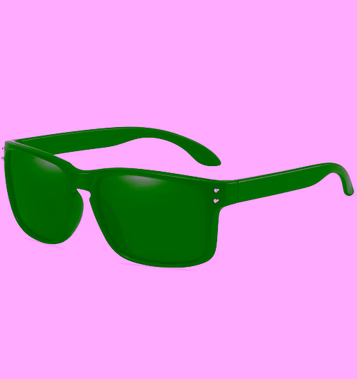 sunglass